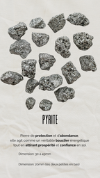 Plume modèle: Loën 𓂃 ֶָ֢
