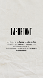 Plume modèle: Loën 𓂃 ֶָ֢