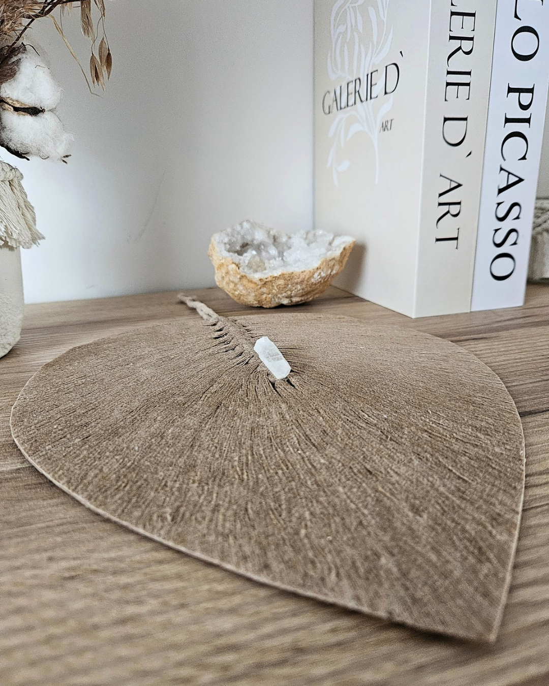 Plume modèle: Loën 𓂃 ֶָ֢