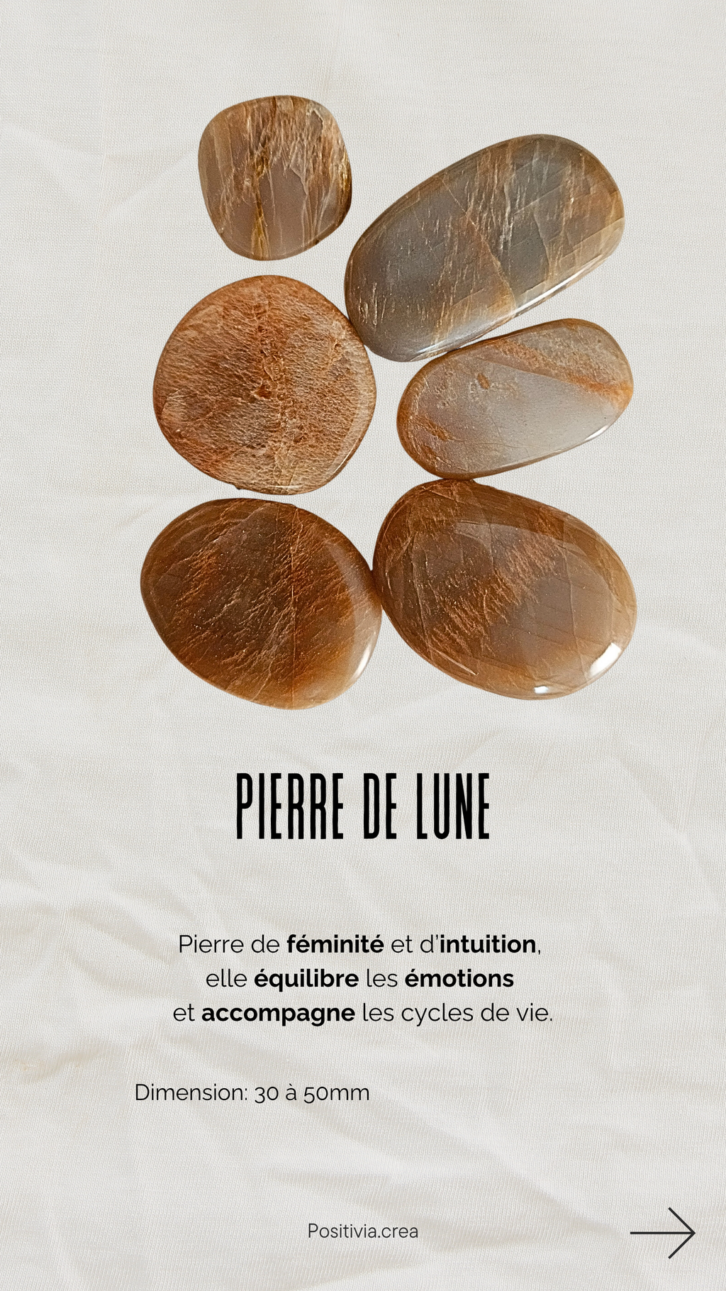 Plume modèle: Loën 𓂃 ֶָ֢