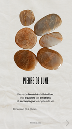 Plume modèle: Loën 𓂃 ֶָ֢
